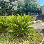 A Murella - Maison De A En Corse بيت للعطل *