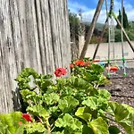 بيت للعطل A Murella - Maison De A En Corse