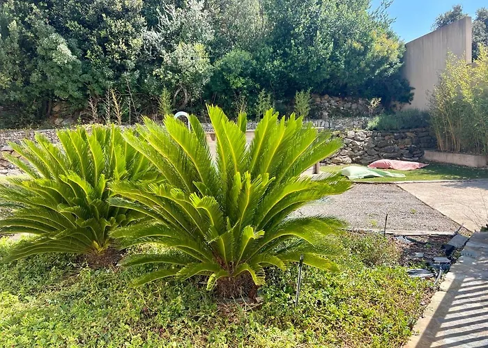 A Murella - Maison De A En Corse Hébergement de vacances *